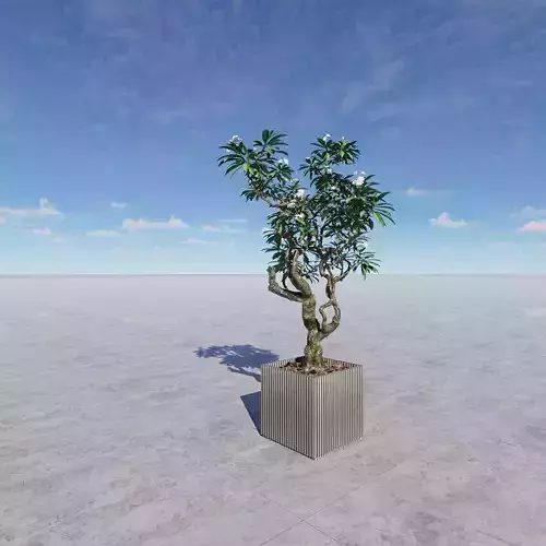 SKP model materials for bonsai and potted plants
