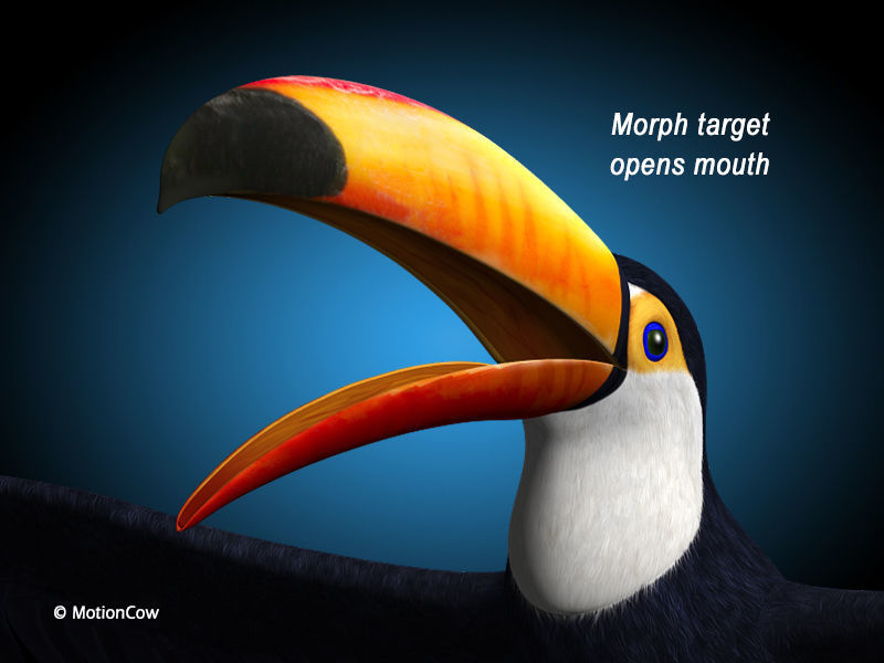 Toucan A - Flight 3D model_3