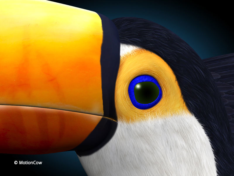 Toucan A - Flight 3D model_6