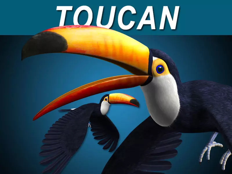 Toucan A - Flight 3D model_0