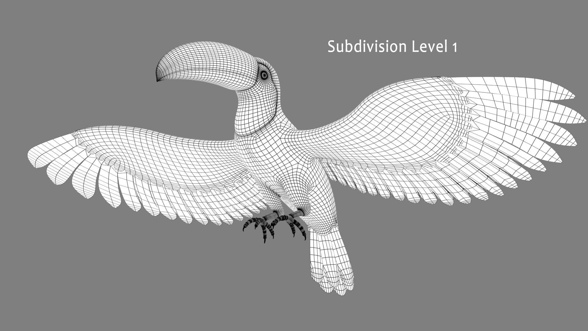 Toucan A - Flight 3D model_12