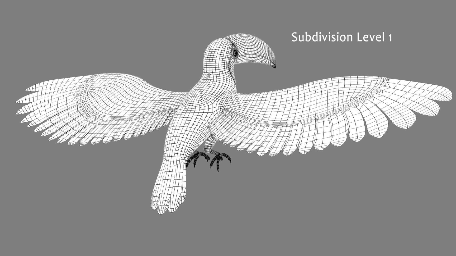Toucan A - Flight 3D model_10