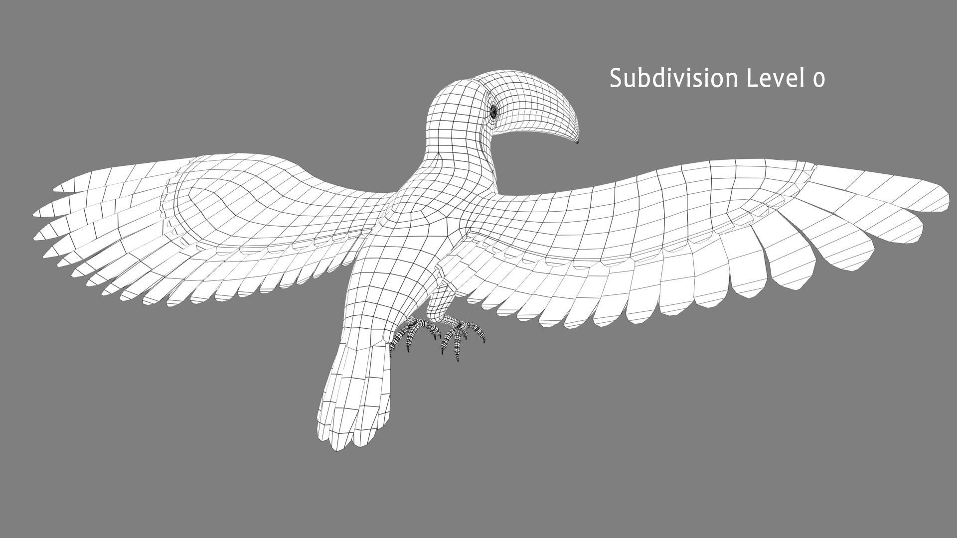 Toucan A - Flight 3D model_9