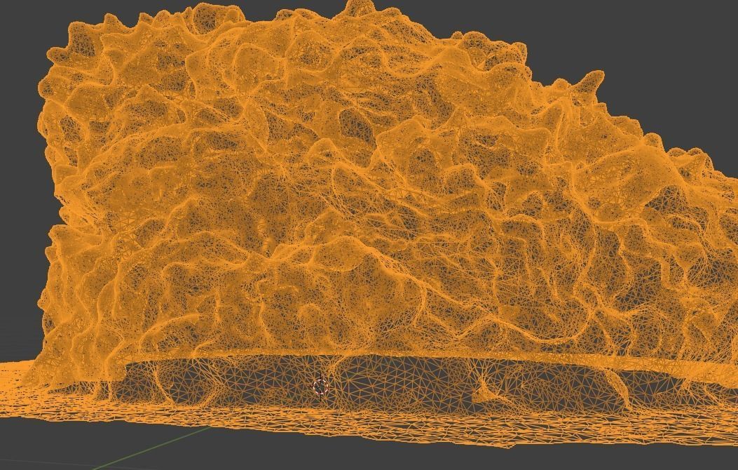 Natural sea sponge 3D model_4