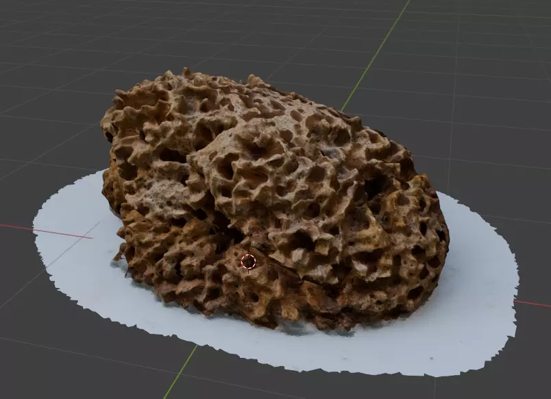 Natural sea sponge 3D model_0