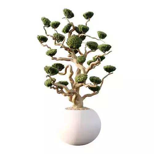 Potted sphere tree01