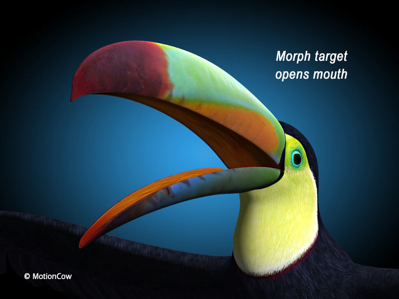 Toucan B - Flight 3D model_5