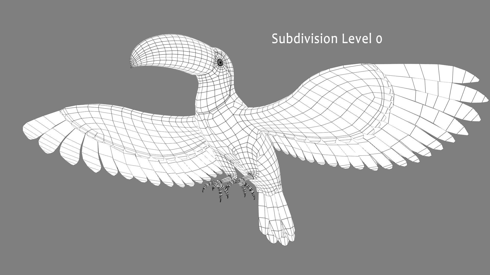 Toucan B - Flight 3D model_11