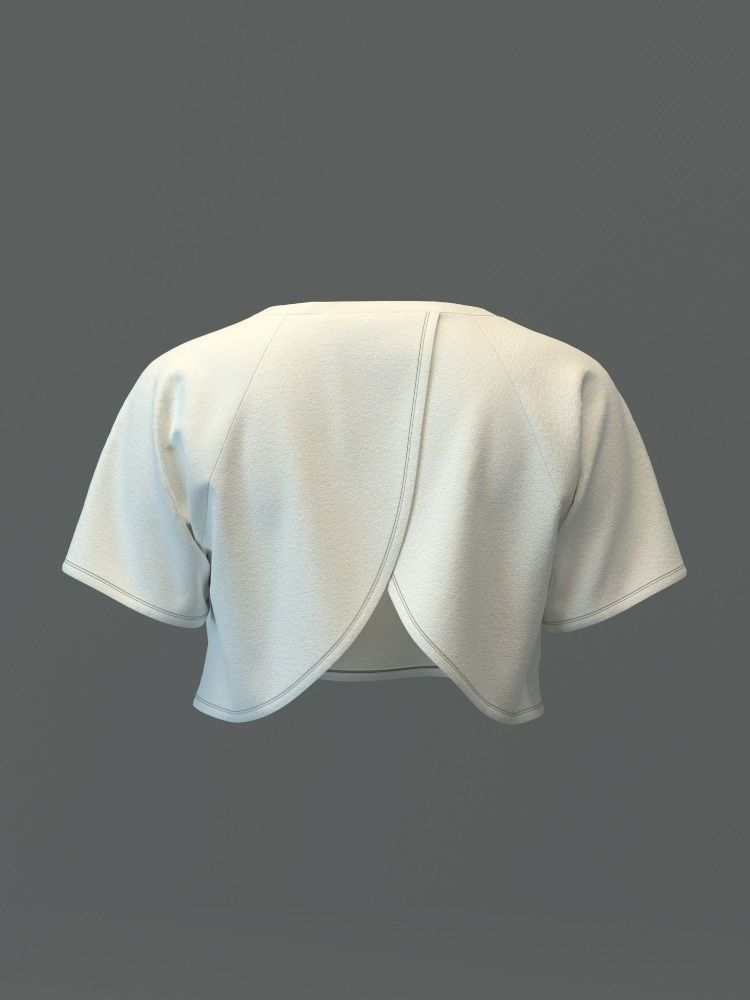 Crop top with Surplice back 3D model_11