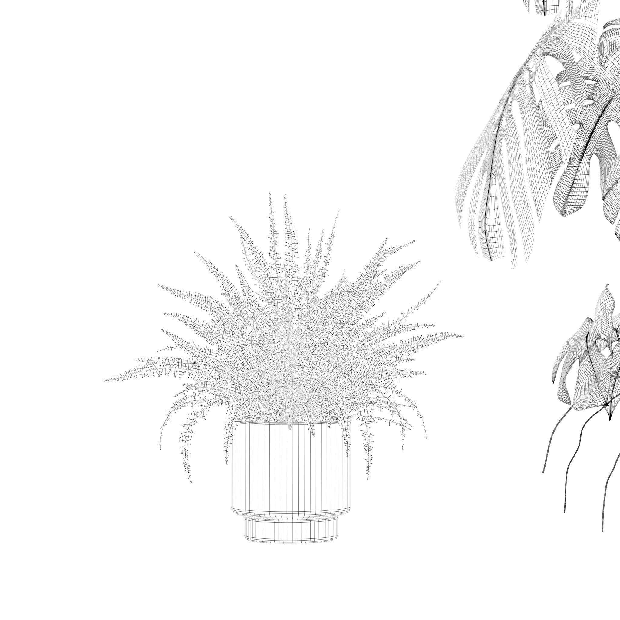 Plants collection 212 - monstera ficus cactus fern 3D model_19