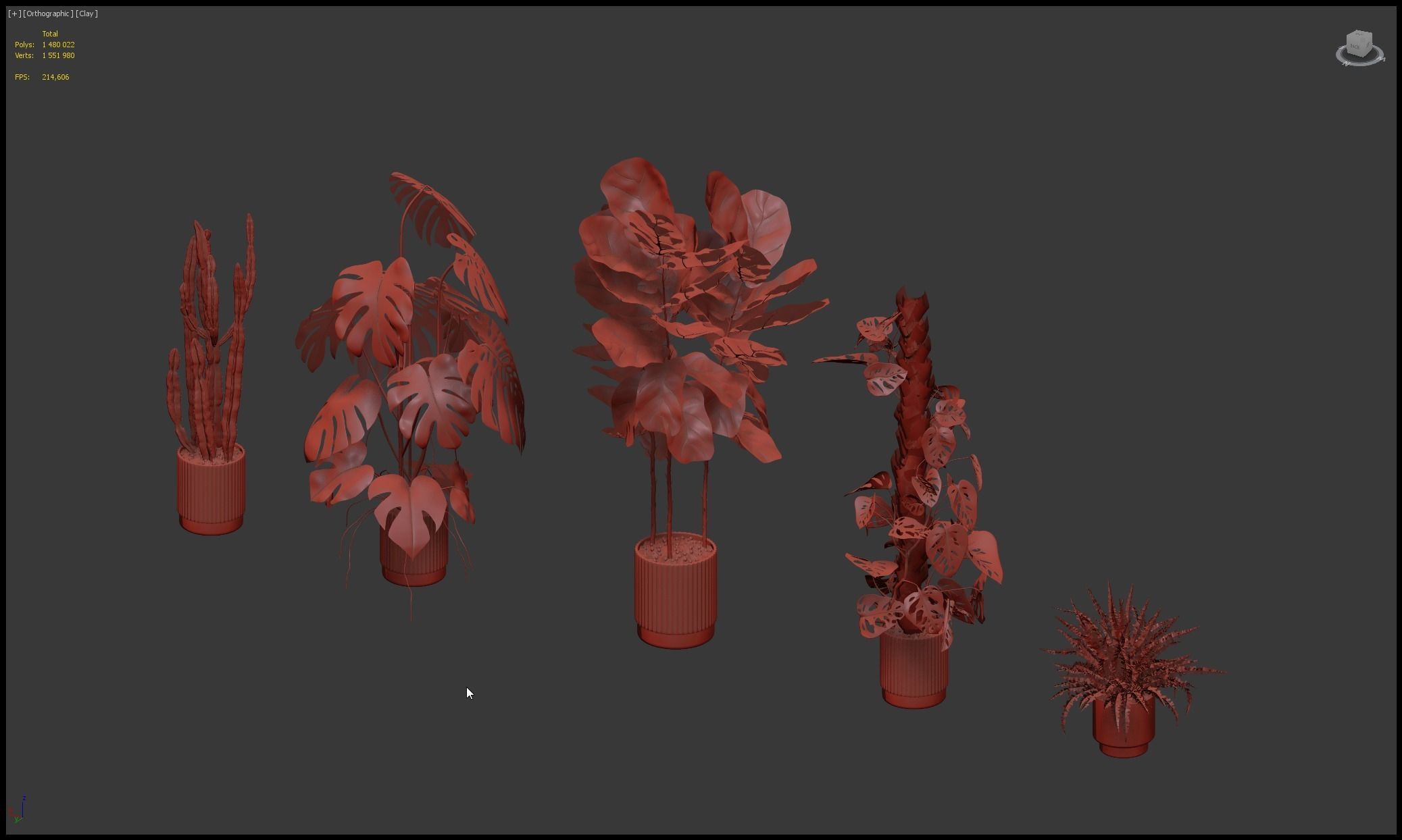 Plants collection 212 - monstera ficus cactus fern 3D model_21