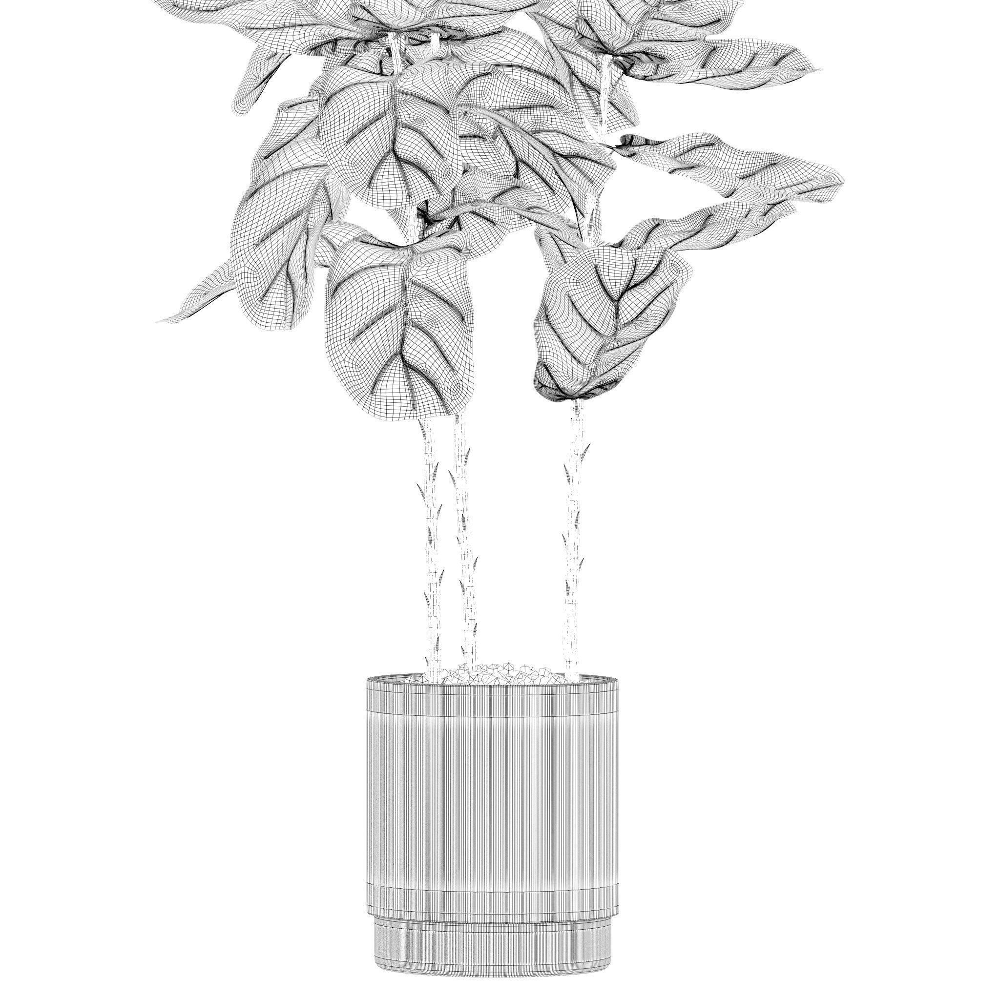 Plants collection 212 - monstera ficus cactus fern 3D model_25