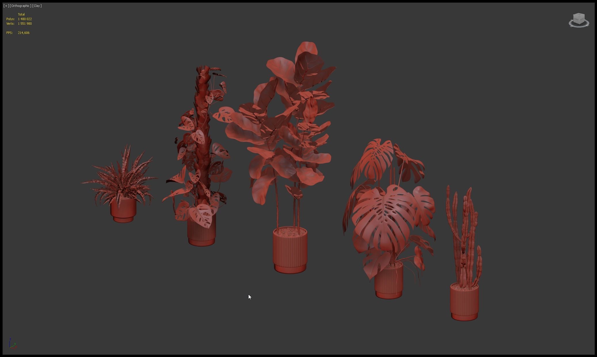 Plants collection 212 - monstera ficus cactus fern 3D model_15