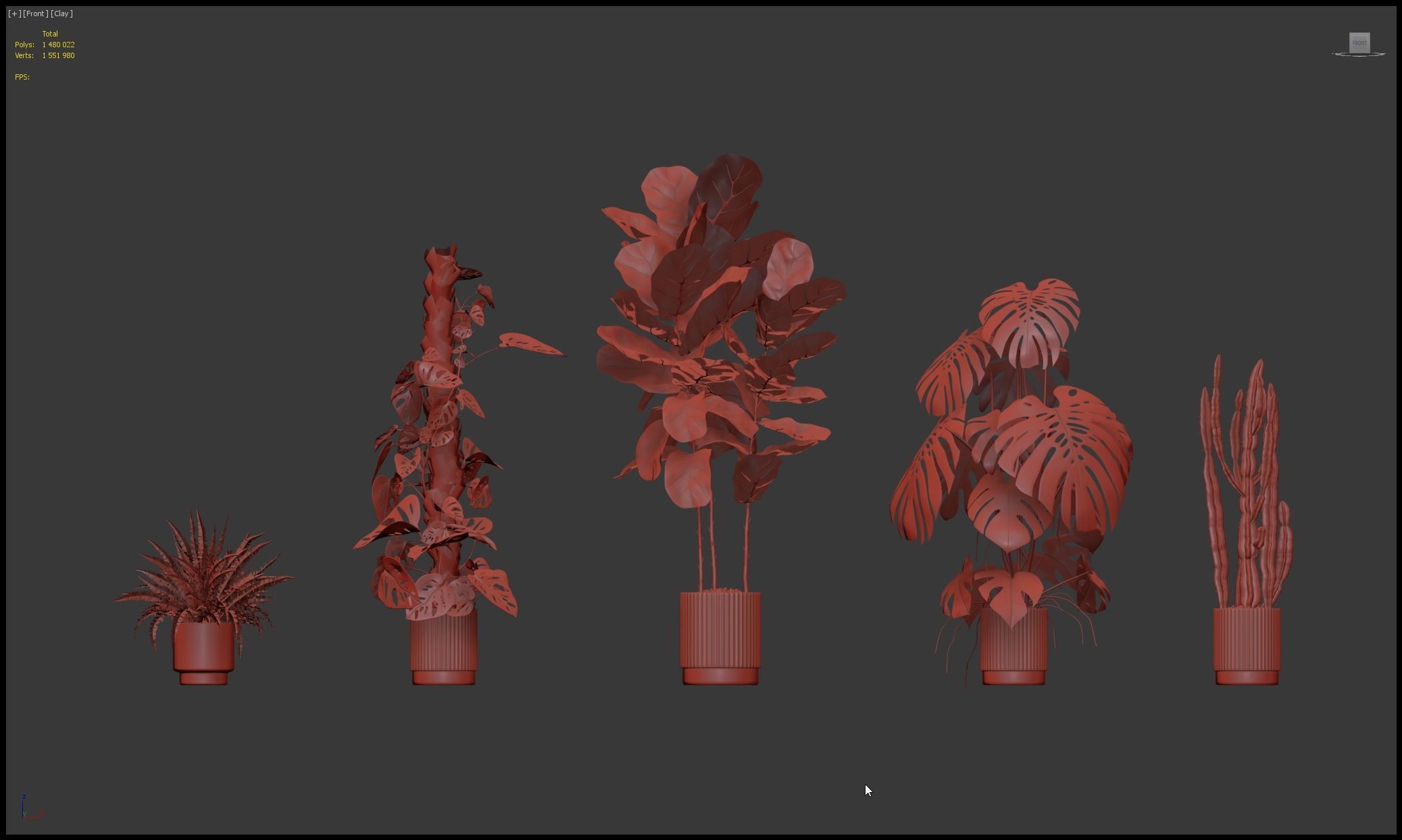 Plants collection 212 - monstera ficus cactus fern 3D model_13