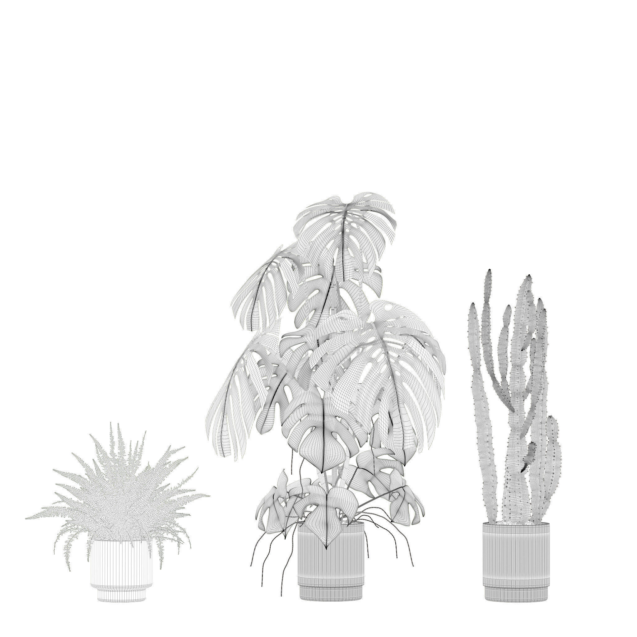 Plants collection 212 - monstera ficus cactus fern 3D model_16