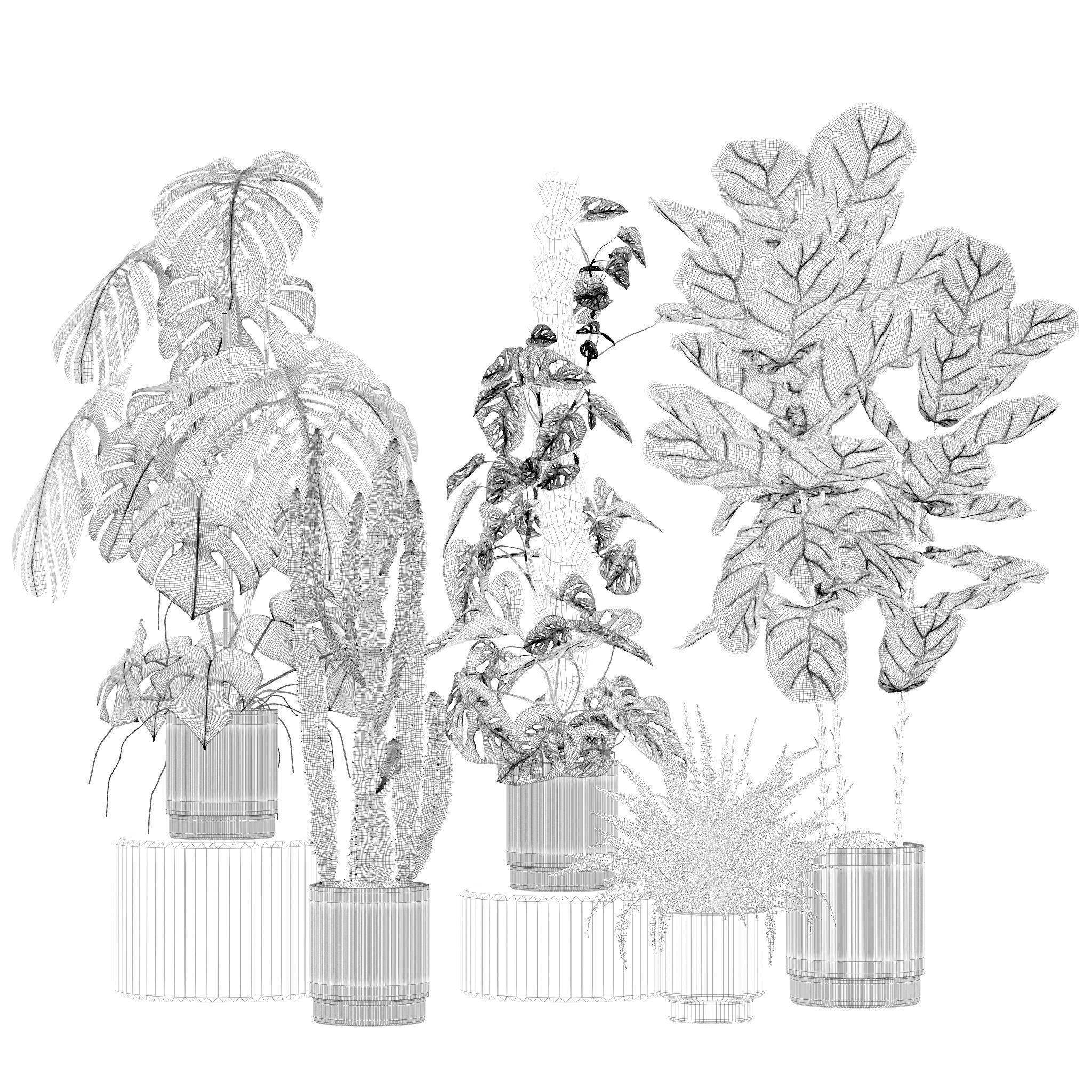 Plants collection 212 - monstera ficus cactus fern 3D model_14