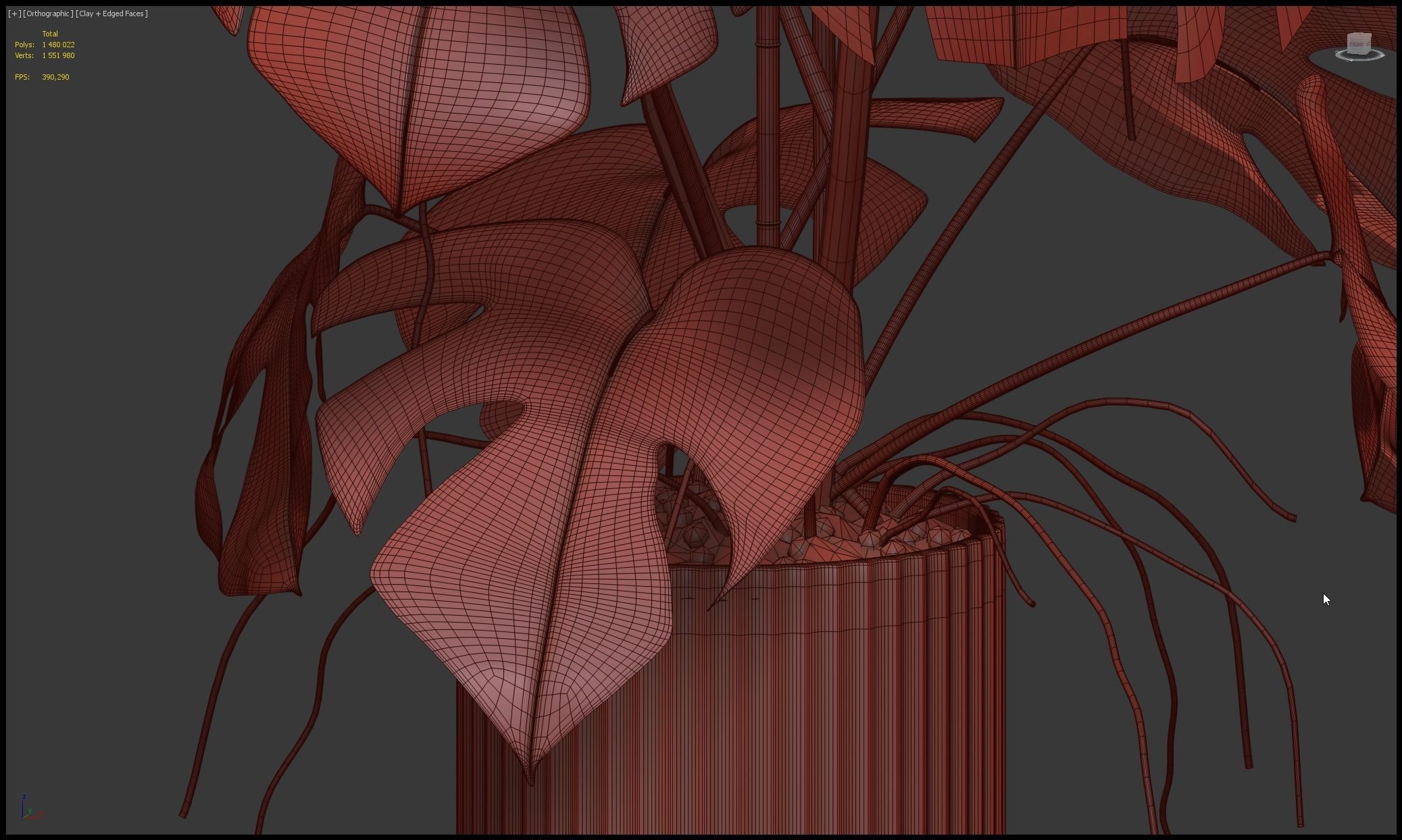 Plants collection 212 - monstera ficus cactus fern 3D model_17