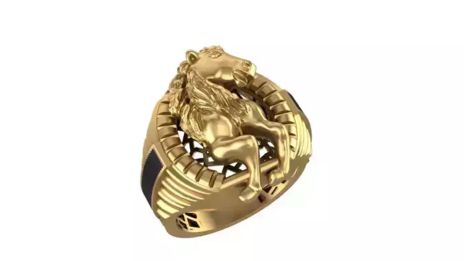 Horse Ring