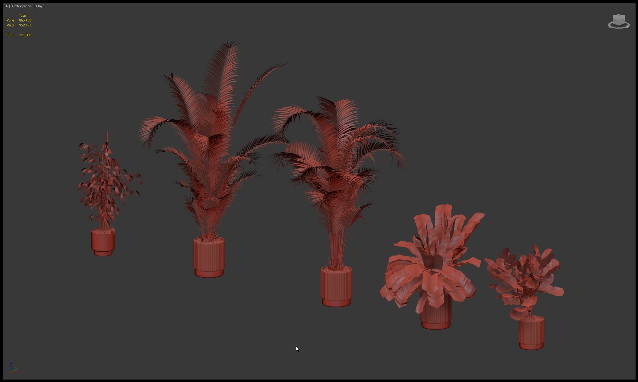 Plants collection 213 - areca palm ficus lyrata benjamina 3D model_25