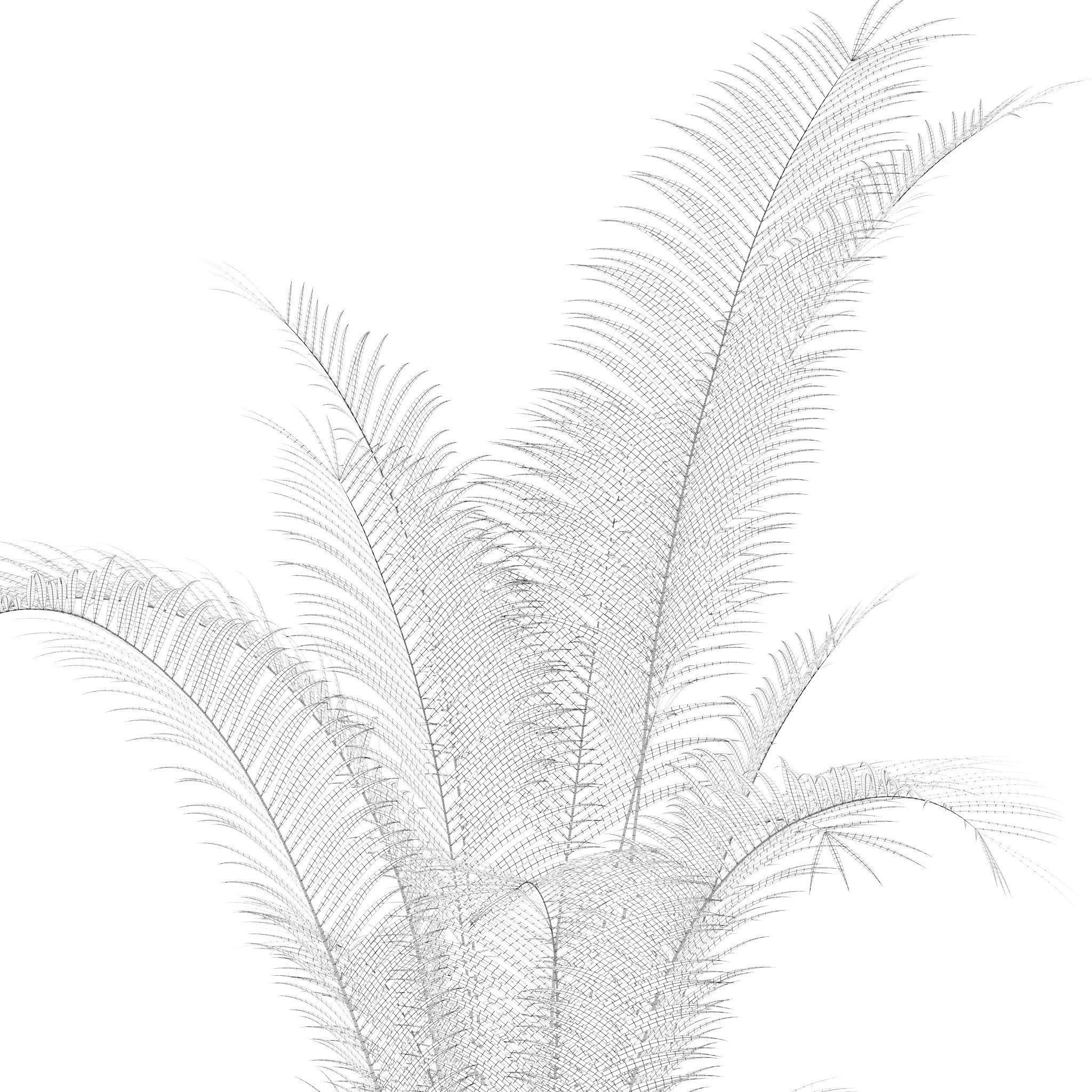 Plants collection 213 - areca palm ficus lyrata benjamina 3D model_17