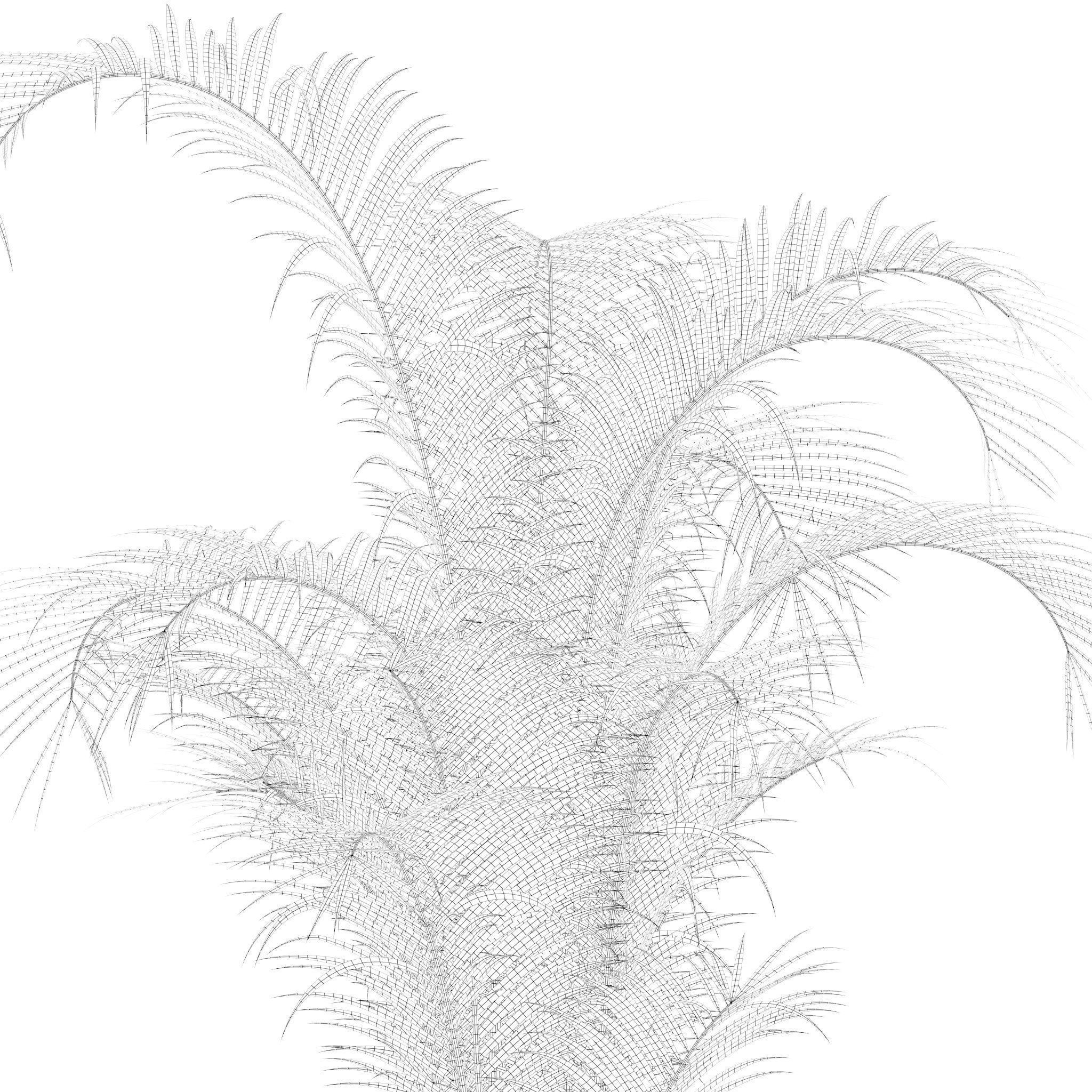 Plants collection 213 - areca palm ficus lyrata benjamina 3D model_19