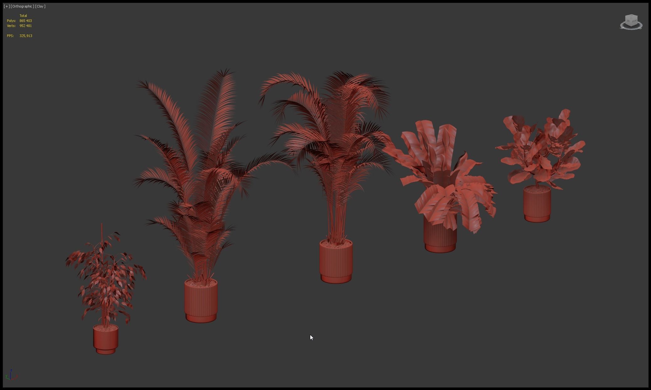 Plants collection 213 - areca palm ficus lyrata benjamina 3D model_26