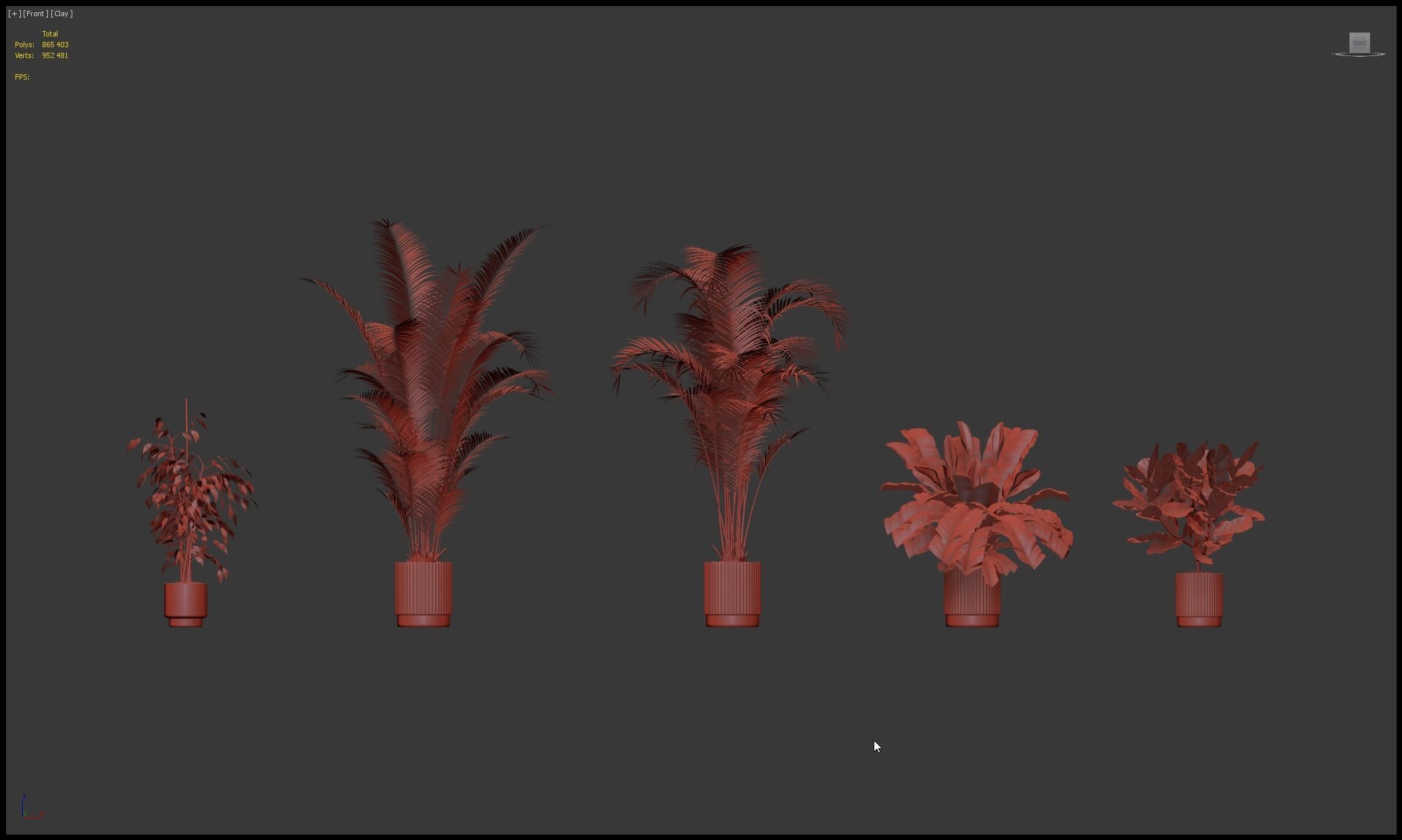 Plants collection 213 - areca palm ficus lyrata benjamina 3D model_13
