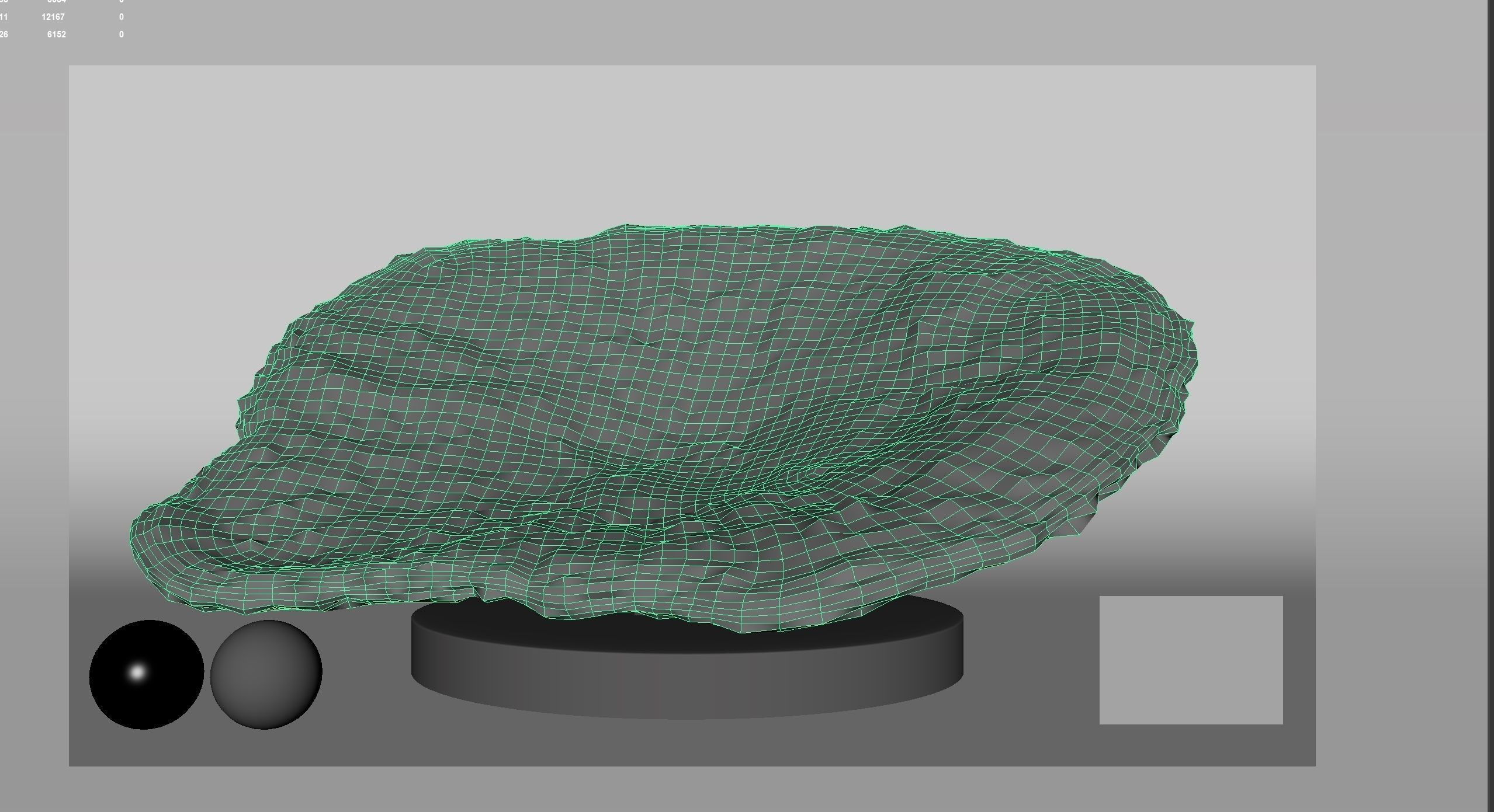 HQ Assets-Coral-Acropora-HyacinthusAB Arnold 3D model_4