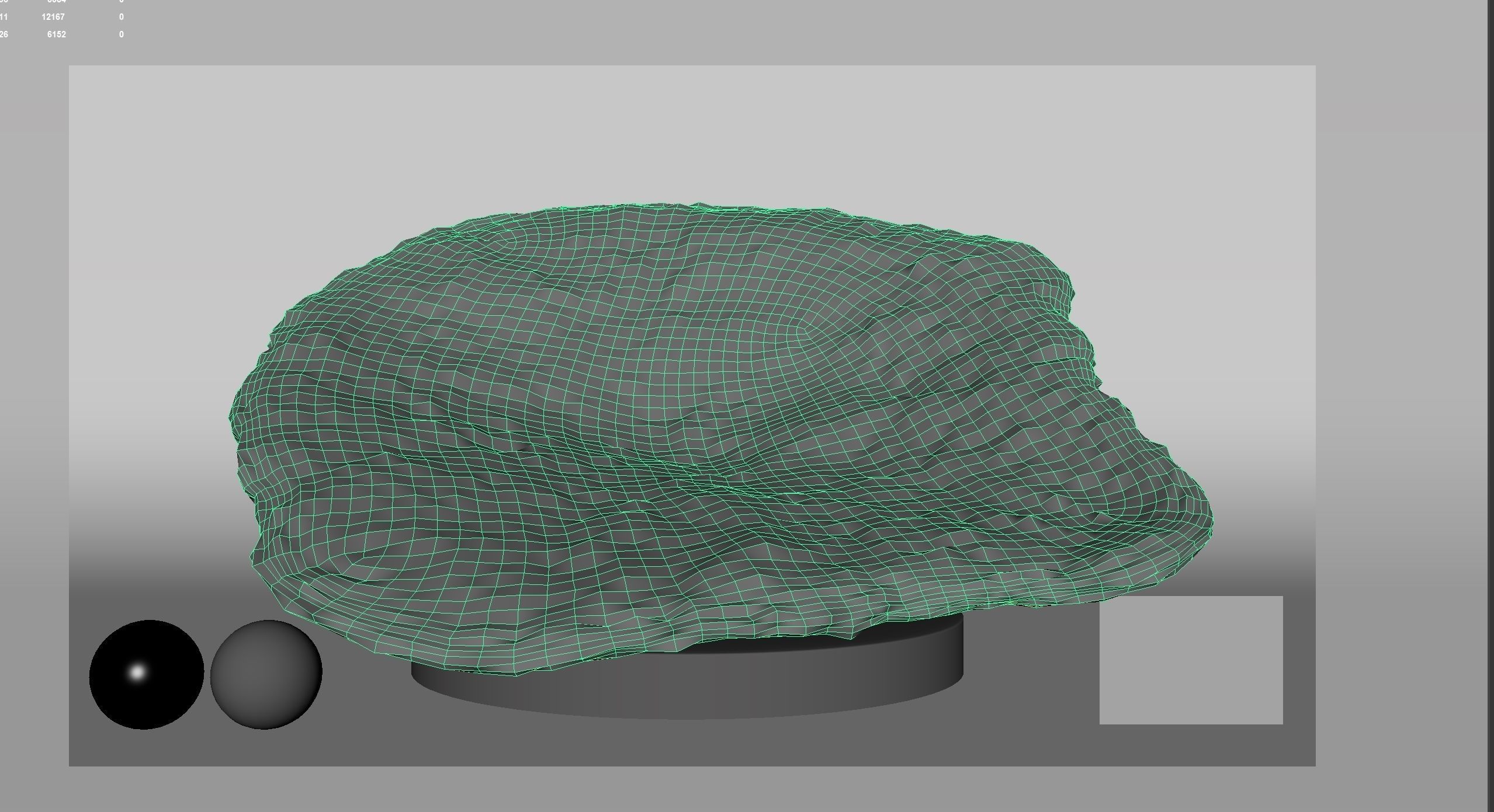 HQ Assets-Coral-Acropora-HyacinthusAB Arnold 3D model_6