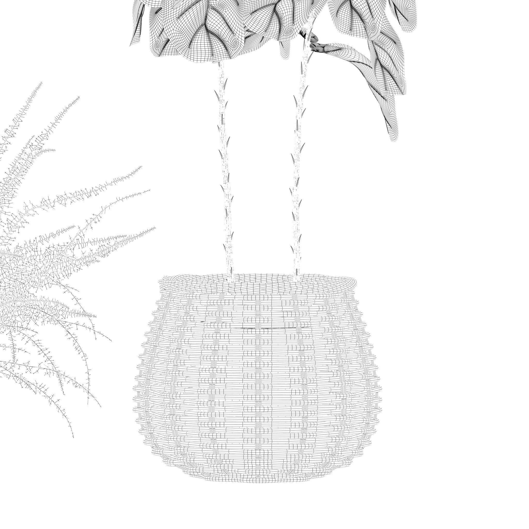 Plants collection 214 - bamboo croton fern ficus 3D model_15