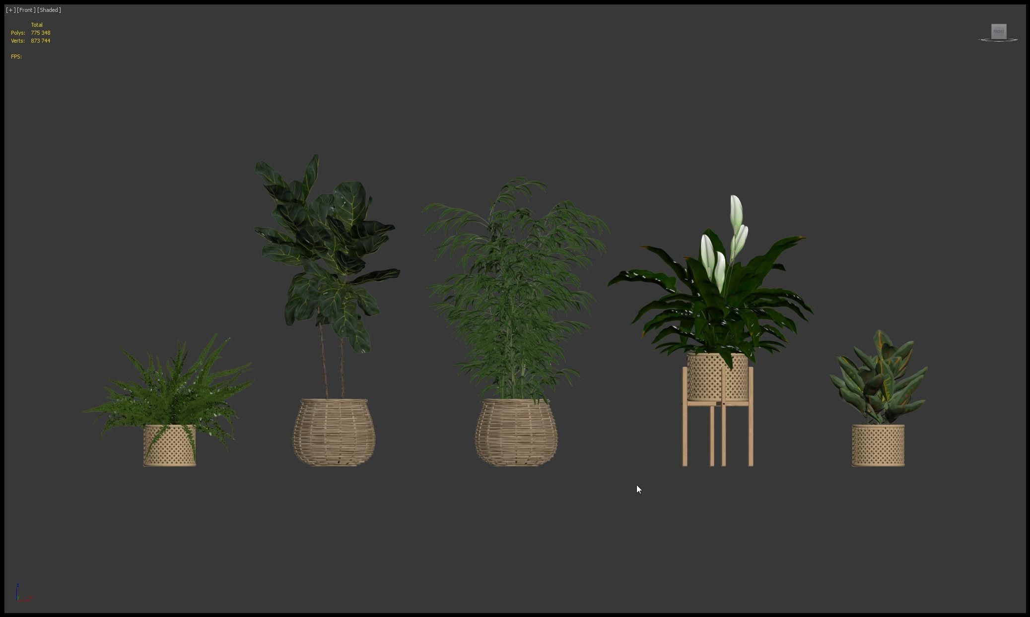 Plants collection 214 - bamboo croton fern ficus 3D model_1