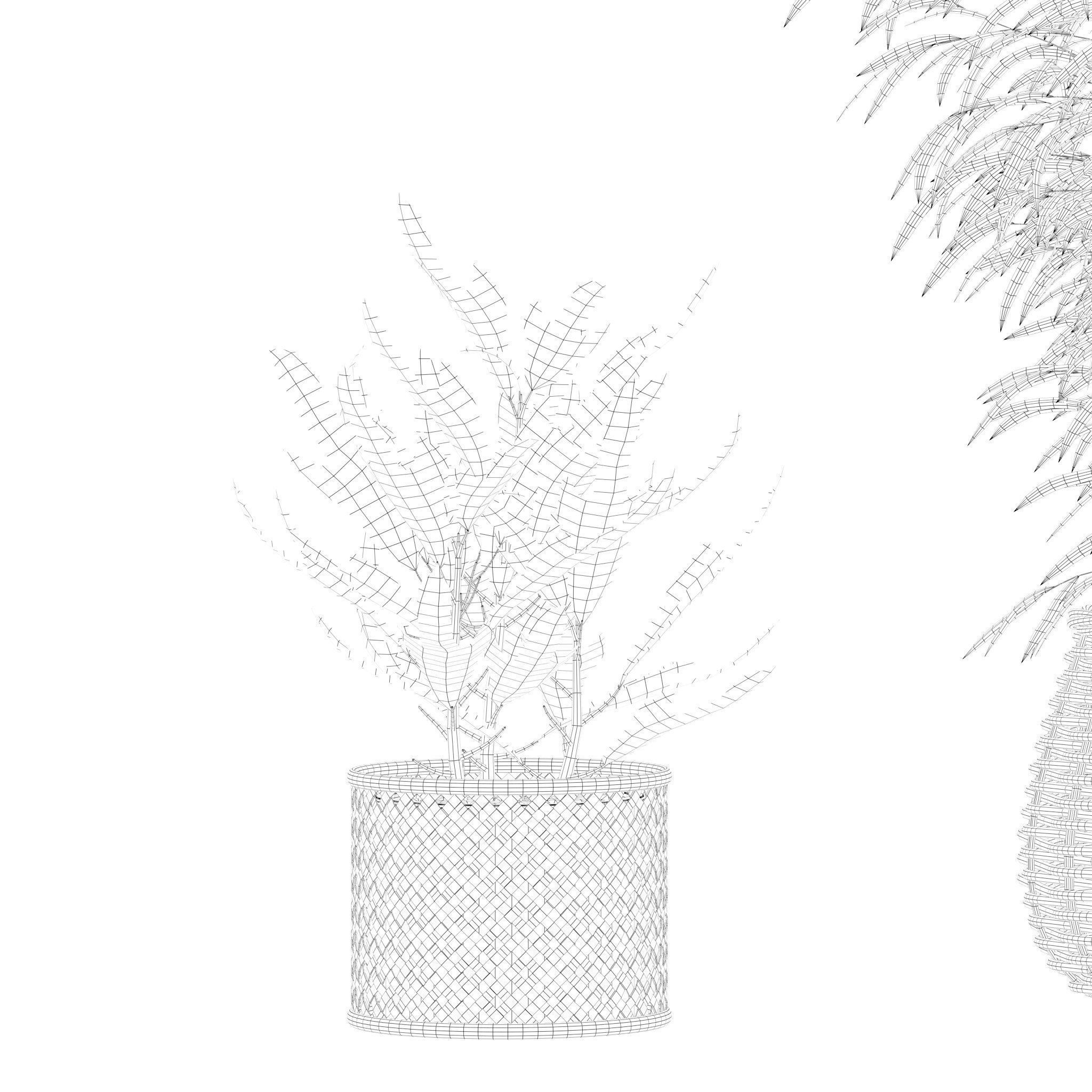 Plants collection 214 - bamboo croton fern ficus 3D model_17