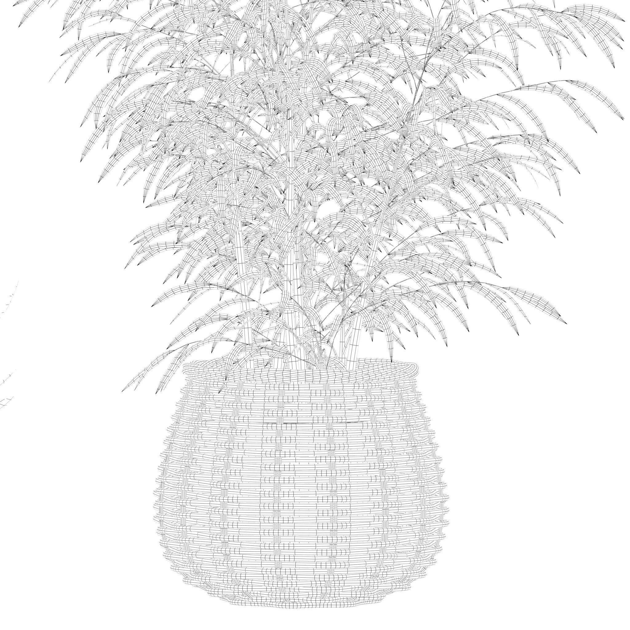 Plants collection 214 - bamboo croton fern ficus 3D model_18