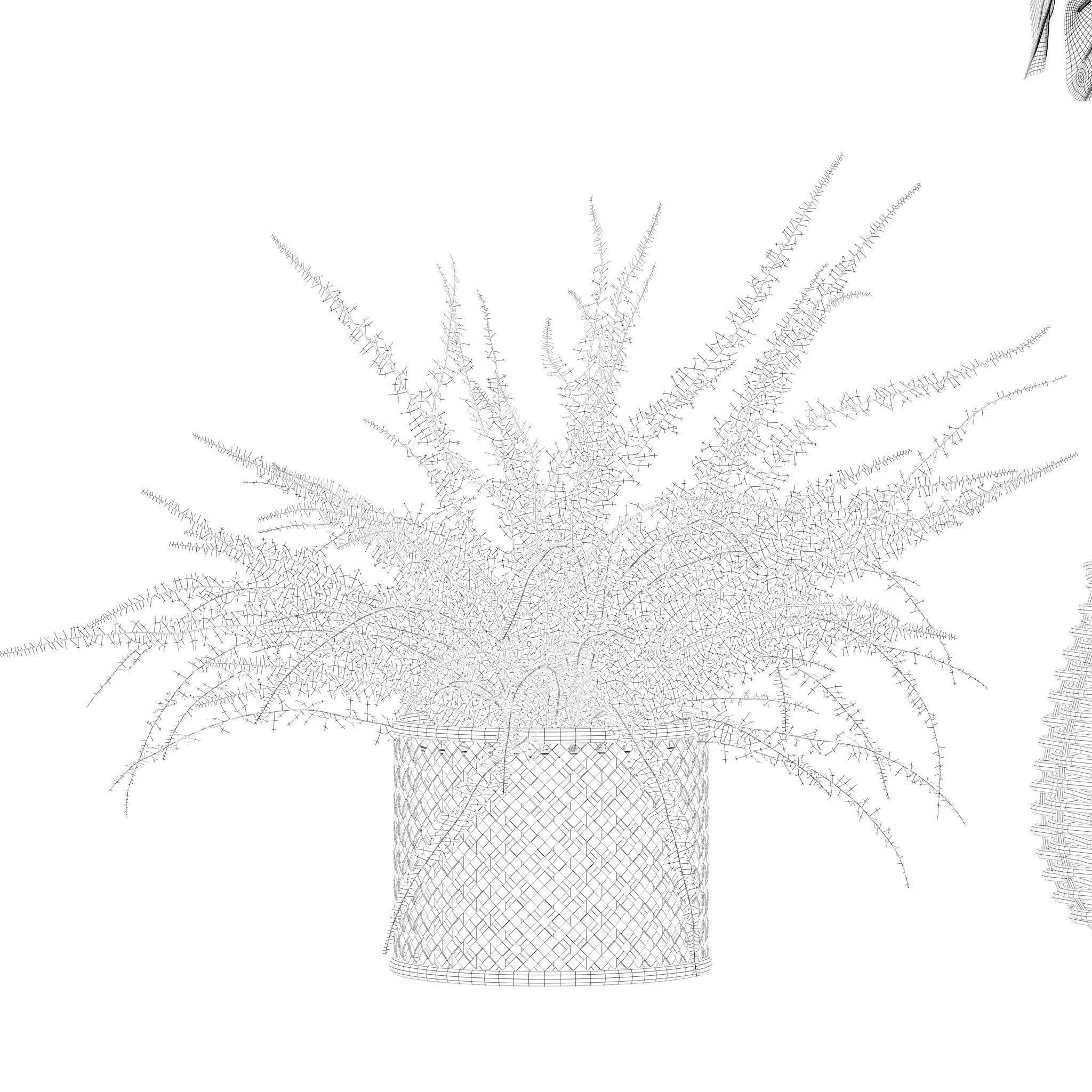 Plants collection 214 - bamboo croton fern ficus 3D model_14