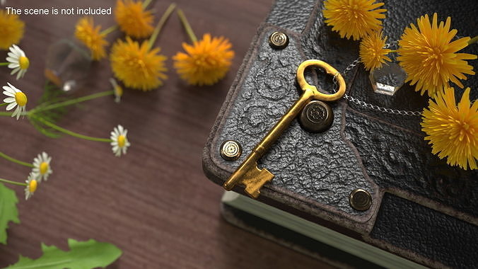 Vintage Skeleton Key Gold