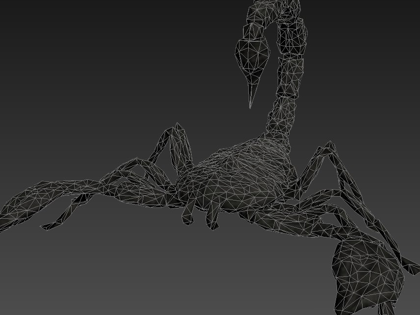 Rigged Scorpion Low-poly 3D model_4