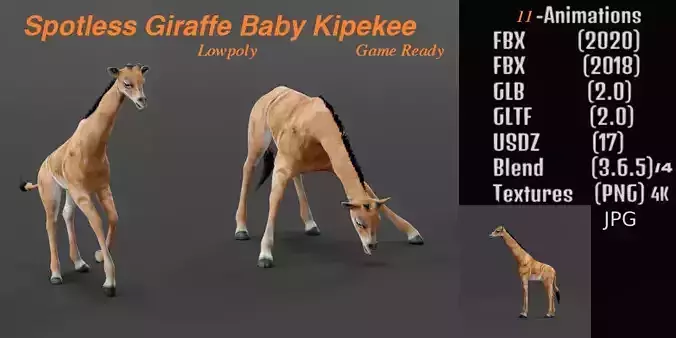 Spotless Giraffe Baby Low-poly 3D model