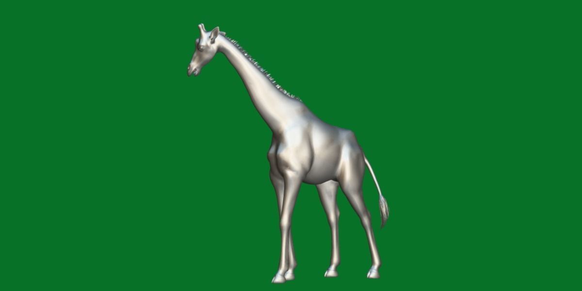 Reticulated Giraffe 3D model_14