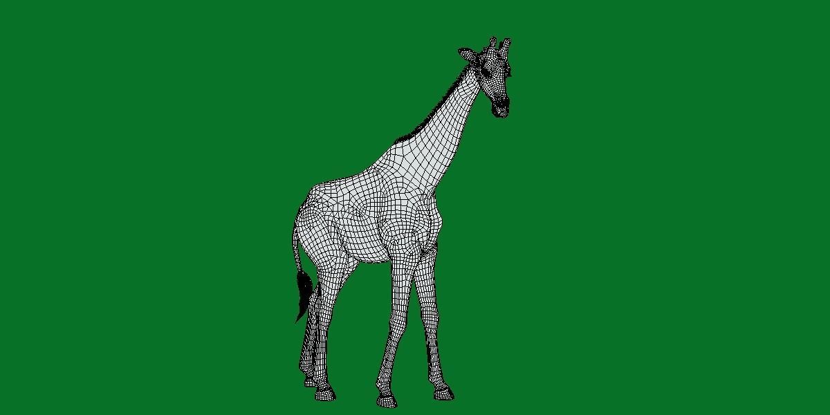 Reticulated Giraffe 3D model_16