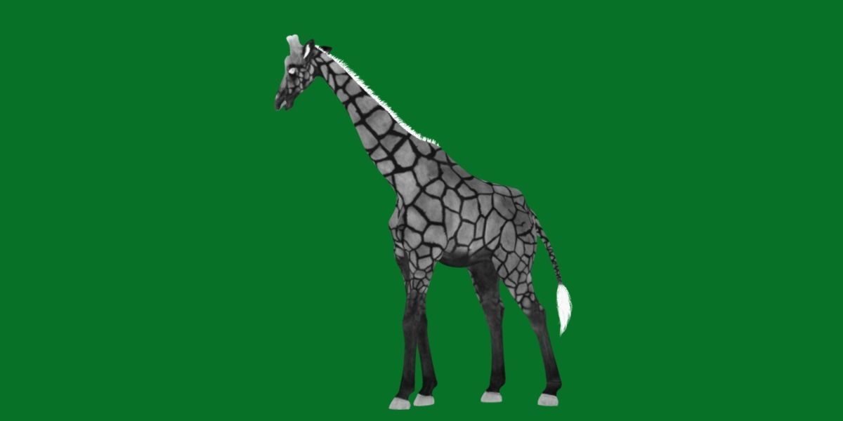 Reticulated Giraffe 3D model_11