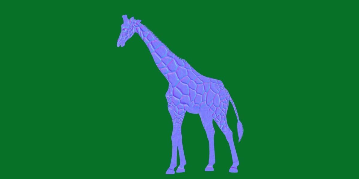 Reticulated Giraffe 3D model_28