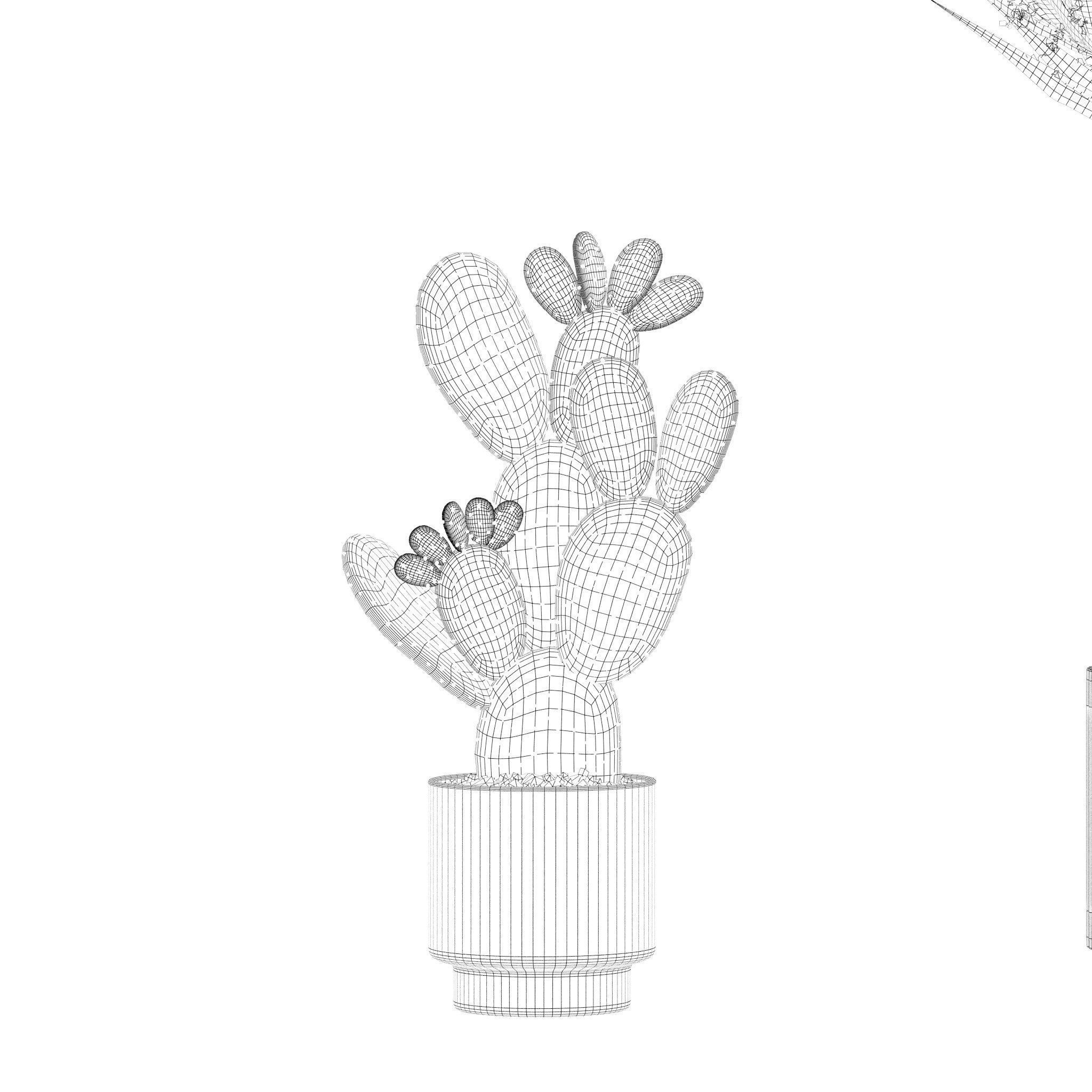 Plants collection 216 - palm grass cactus 3D model_19