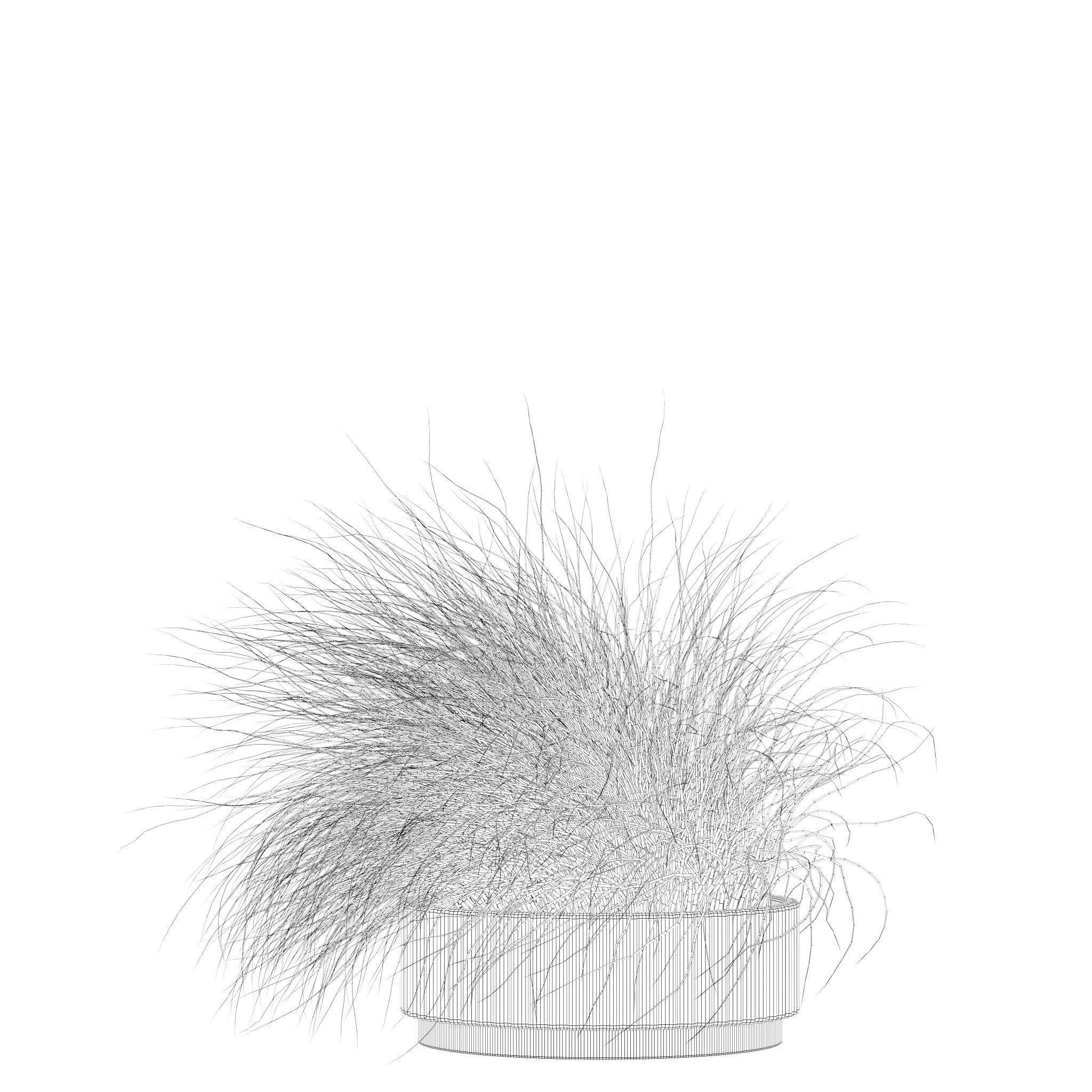 Plants collection 216 - palm grass cactus 3D model_12