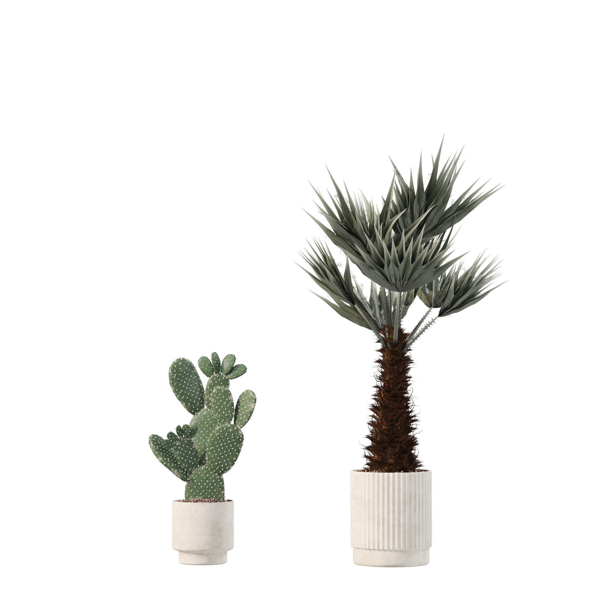 Plants collection 216 - palm grass cactus 3D model_3