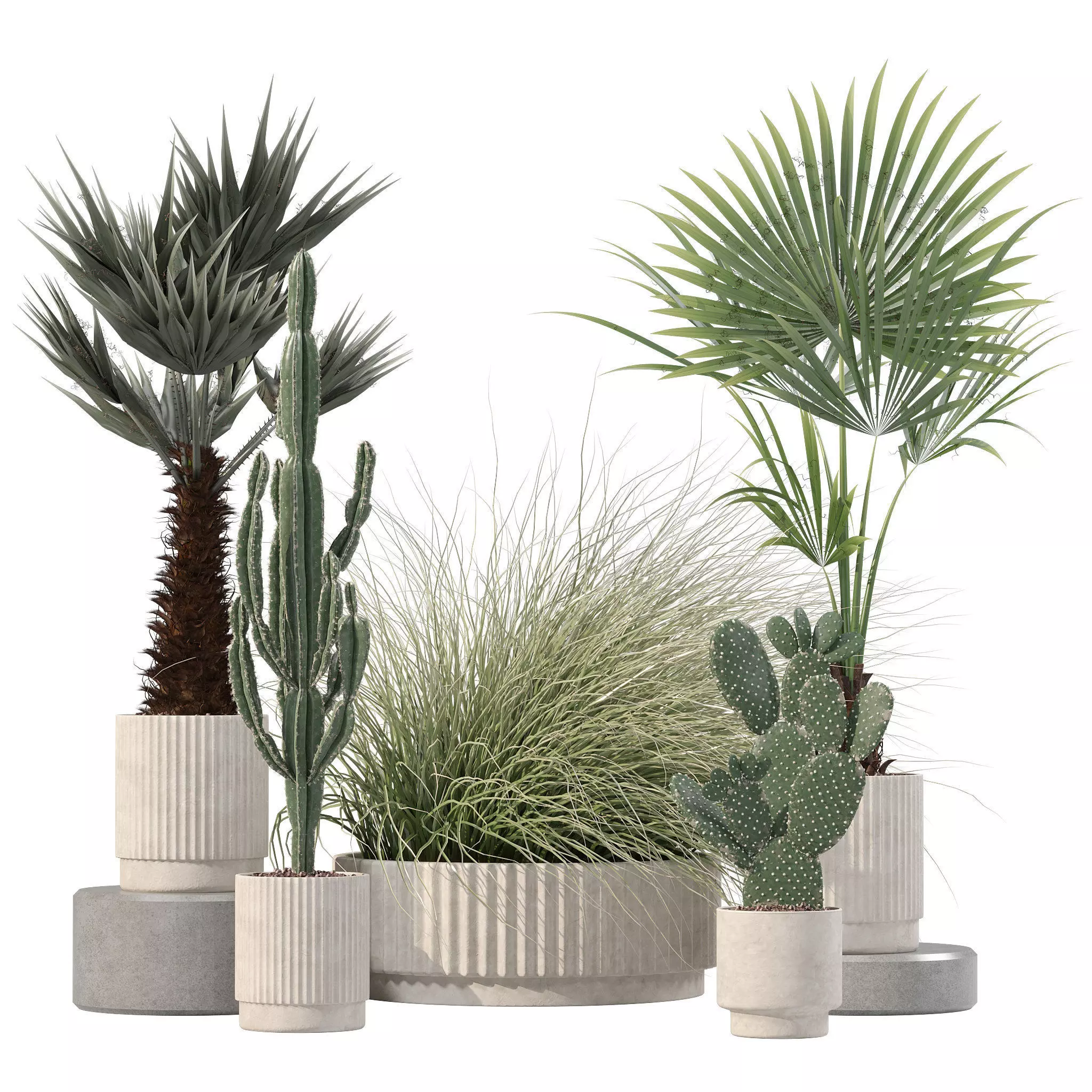 Plants collection 216 - palm grass cactus 3D model_0