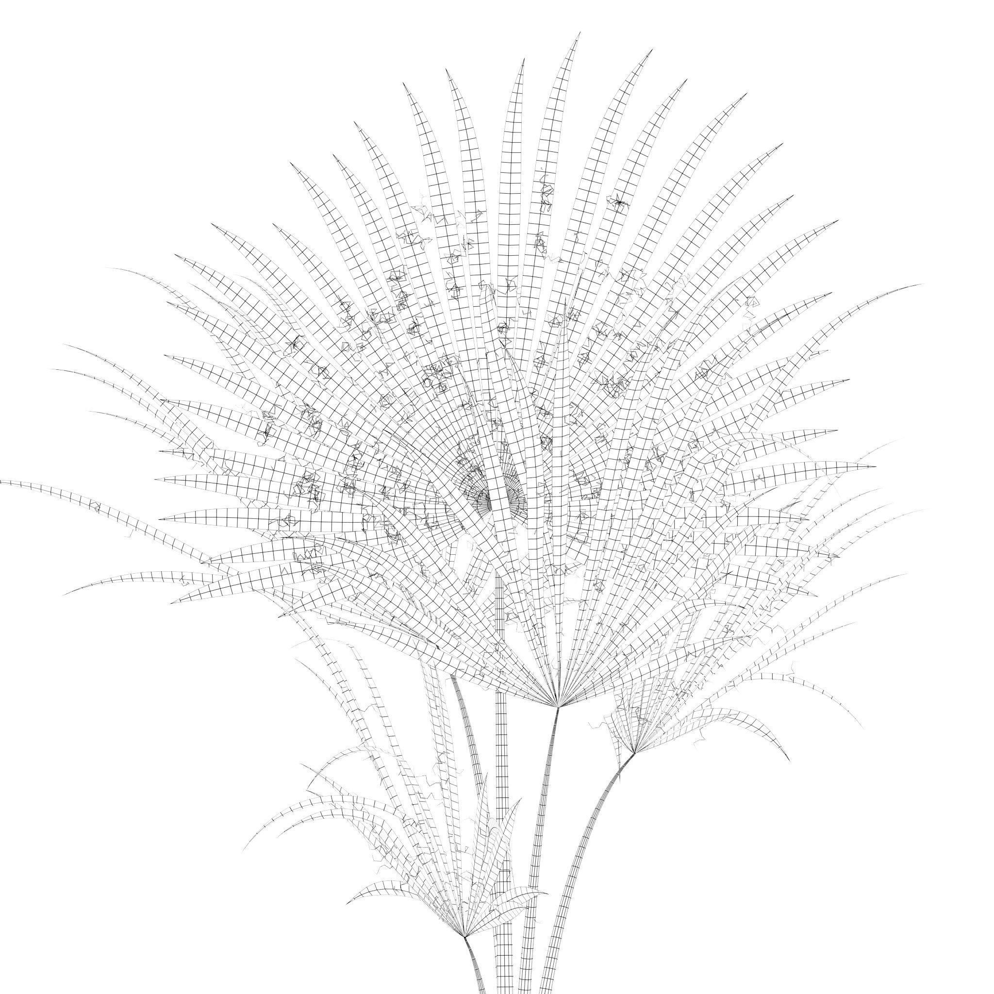 Plants collection 216 - palm grass cactus 3D model_17