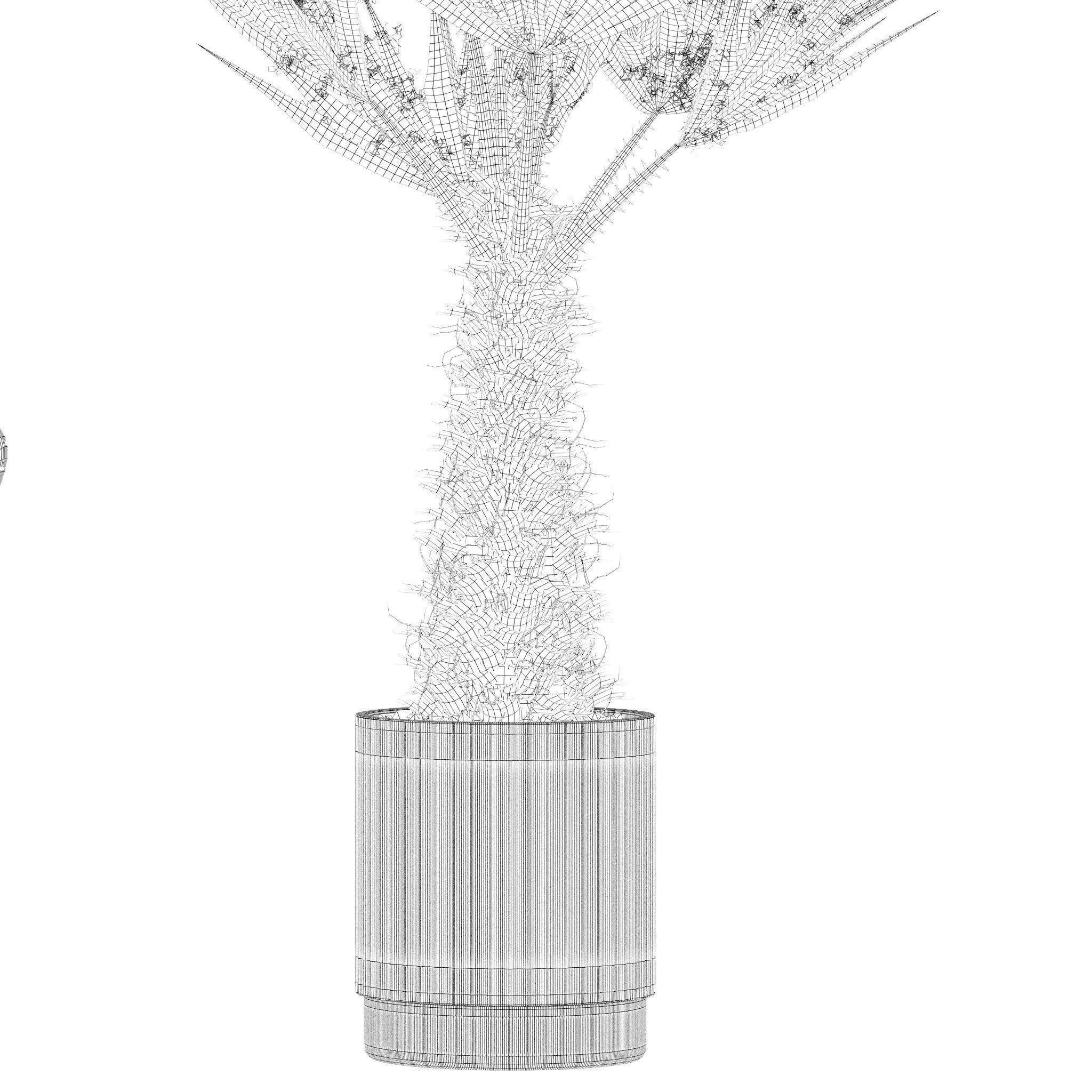 Plants collection 216 - palm grass cactus 3D model_20