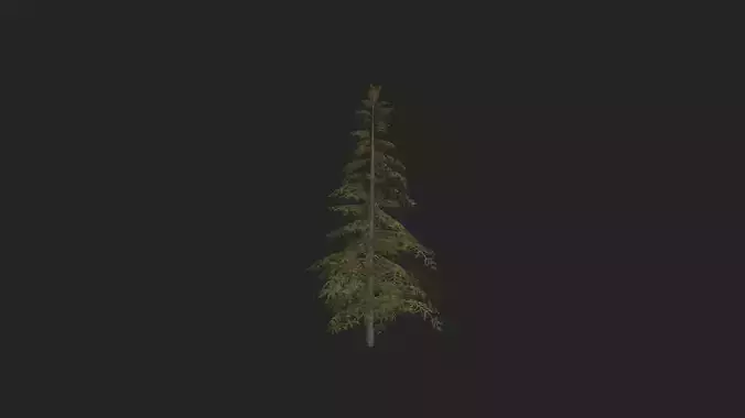 Tree 3D Model 020