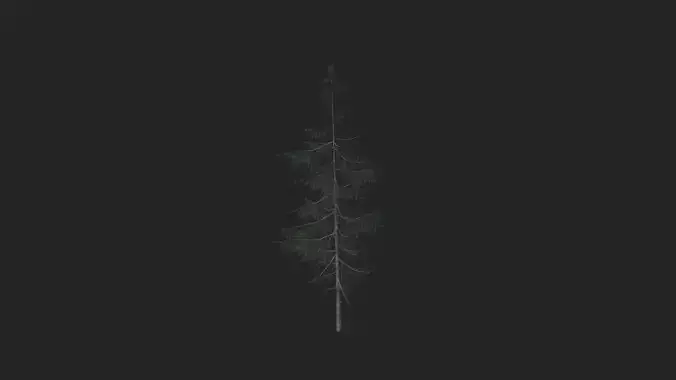 Tree 3D Model 022