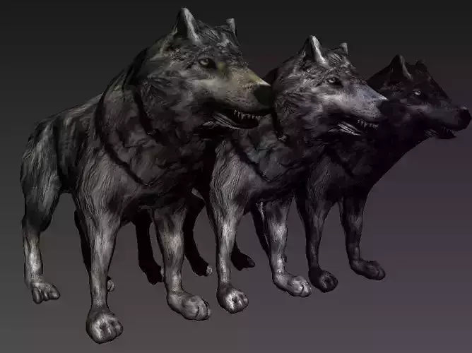 Low-poly Rigged Wolf
